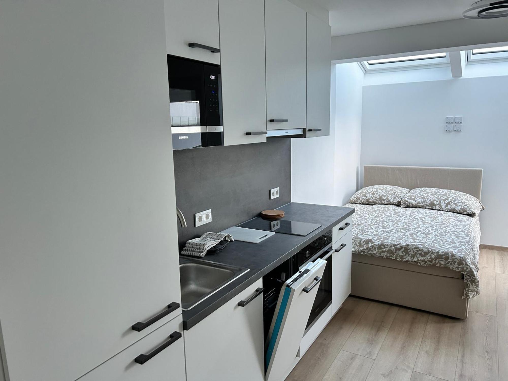 Asp Modern Apartments With Balcony & Free Parking 비엔나 외부 사진